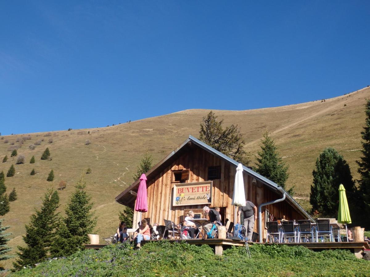 Au Coeur Des Alpes Bed & Breakfast Marignier Bagian luar foto