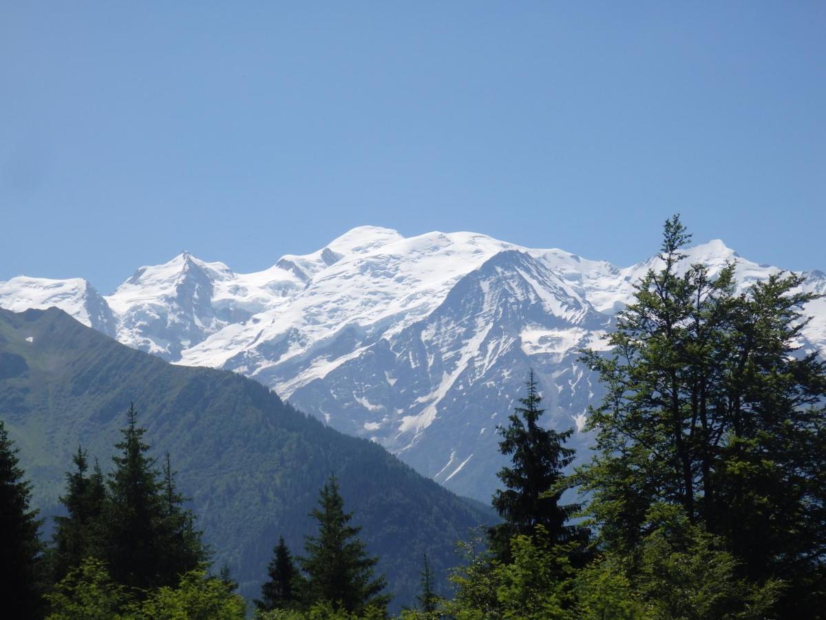 Au Coeur Des Alpes Bed & Breakfast Marignier Bagian luar foto