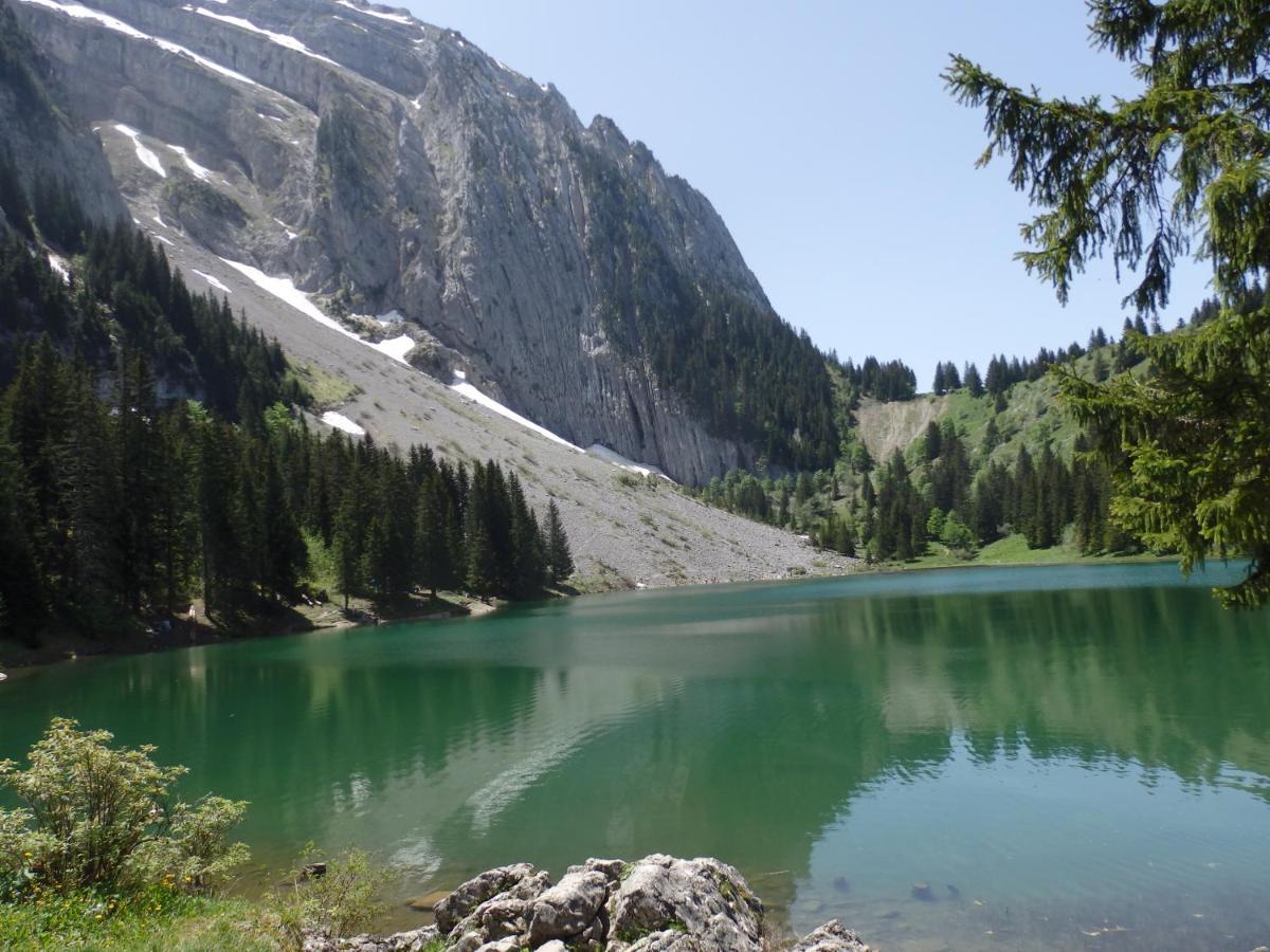 Au Coeur Des Alpes Bed & Breakfast Marignier Bagian luar foto